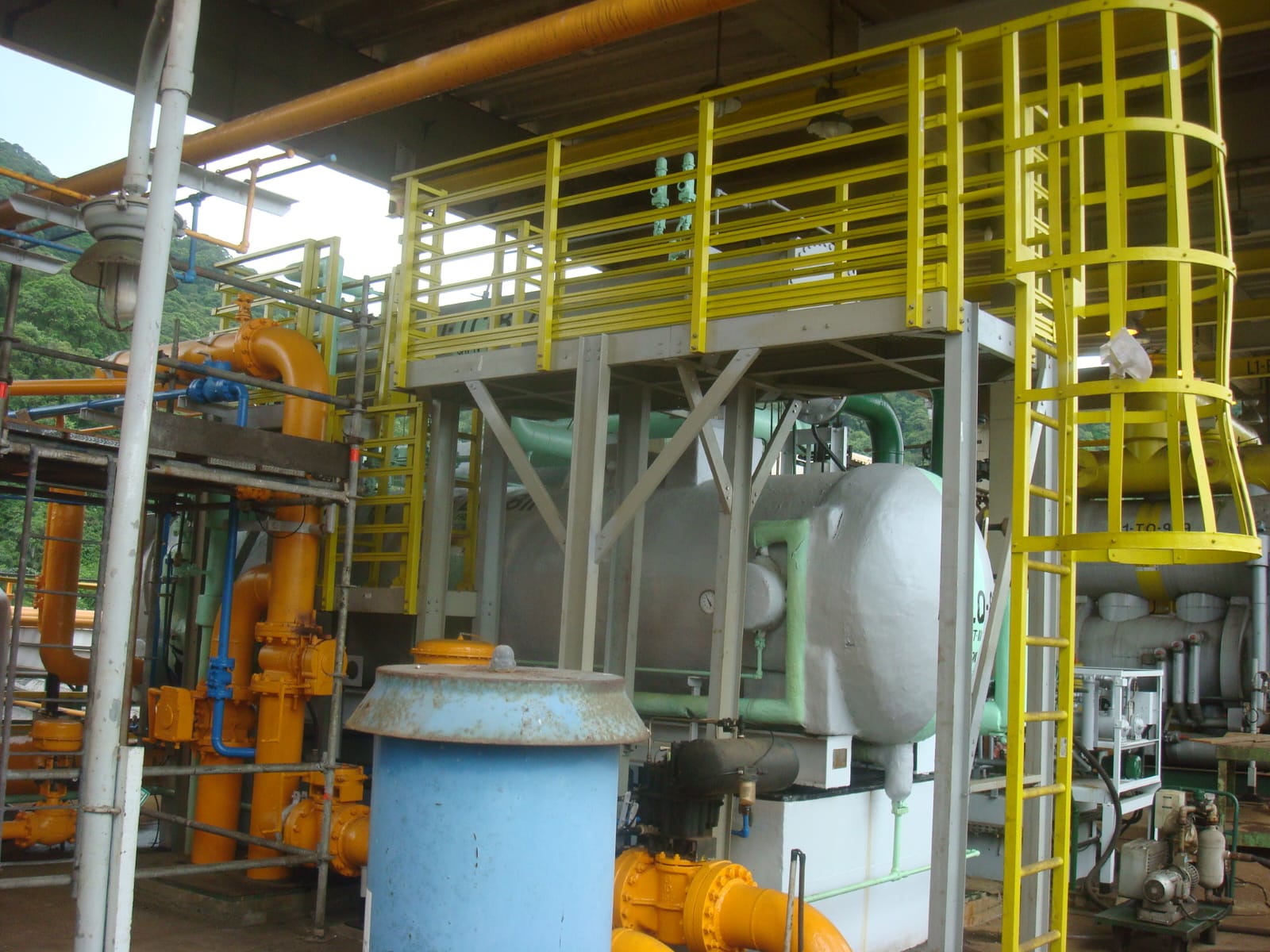 Cage ladder in an industrial facility